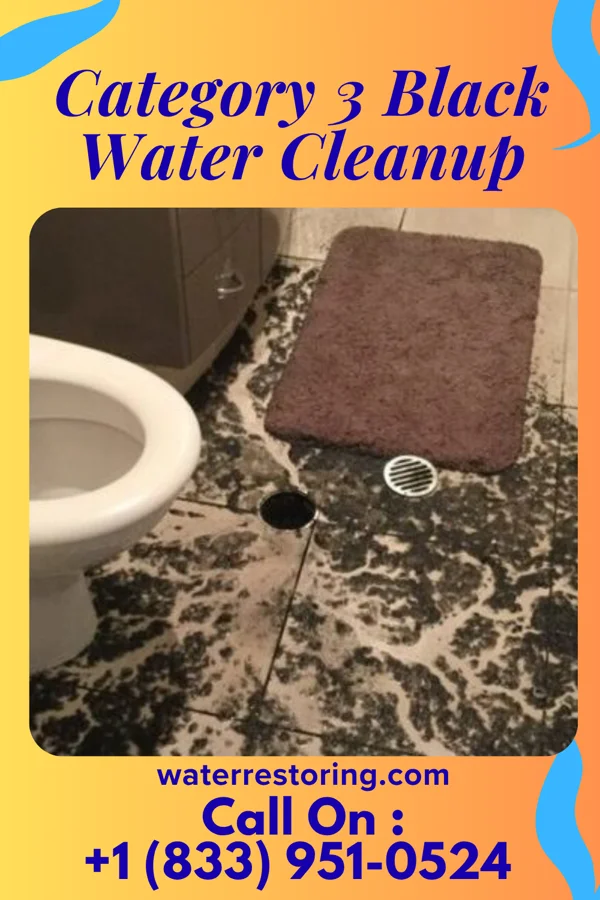 Category 3 Black Water Cleanup in Inman, NE
